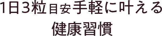 1日3粒目安